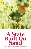 A State Built on Sand (eBook, ePUB)