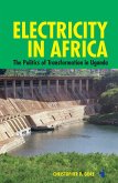 Electricity in Africa (eBook, ePUB)