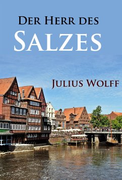 Der Herr des Salzes (eBook, ePUB) - Wolff, Julius