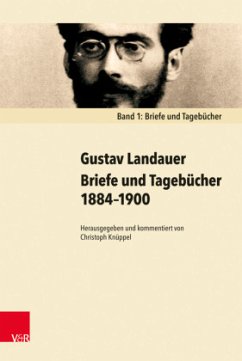 Cover Briefe und Tagebücher 1884-1900, 2 Bde.