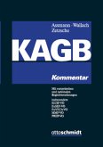 Kapitalanlagegesetzbuch (KAGB), Kommentar