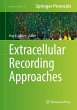 Extracellular Recording Approaches - Bild 1