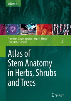 Atlas of Stem Anatomy in Herbs, Shrubs and Trees - Schweingruber, Fritz Hans;Börner, Annett;Schulze, Ernst-Detlef