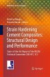 Strain Hardening Cement Composites:... - Bild 1