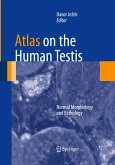 Atlas on the Human Testis