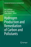 Hydrogen Production and Remediation of Carbon and Pollutants