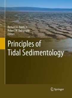 Principles of Tidal Sedimentology