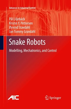 Snake Robots - Liljebäck, Pål;Pettersen, Kristin Ytterstad;Stavdahl, Øyvind