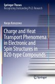 Charge and Heat Transport Phenomena in Electronic and Spin Structures in B20-type Compounds