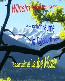 Zwischenräume im Tagebuch von Jeannine Laube-Moser (eBook, ePUB)