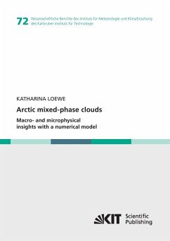 Arctic mixed-phase clouds : Macro- and microphysical insights with a numerical model