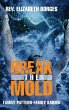 Break the Mold - Bild 1