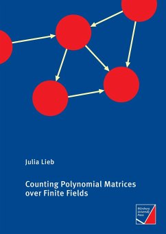 Counting Polynomial Matrices over Finite Fields - Lieb, Julia