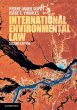 International Environmental Law - Bild 1