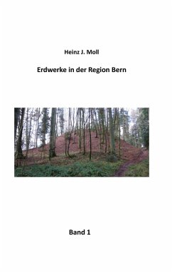 Erdwerke in der Region Bern (eBook, ePUB)