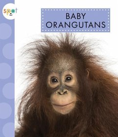 Baby Orangutans - Kelley, K. C.