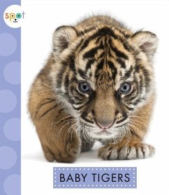 Baby Tigers - Kelley, K. C.