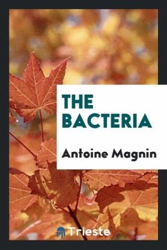 The Bacteria - Magnin, Antoine