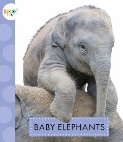 Baby Elephants - Kelley, K. C.