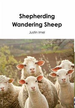 Shepherding Wandering Sheep - Imel, Justin