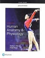 Study Guide for Human Anatomy & Physiology - Marieb, Elaine; Hoehn, Katja