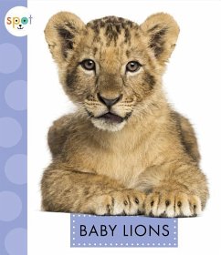 Baby Lions - Kelley, K. C.