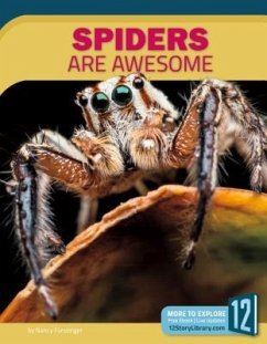 Spiders Are Awesome - Furstinger, Nancy