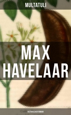 Max Havelaar (Historischer Roman) (eBook, ePUB) - Multatuli