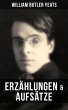 W.B. Yeats: Erzählungen & Aufsätze... - Bild 1
