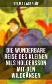 Die wunderbare Reise des kleinen Nils Holgersson mit den Wildgänsen (eBook, ePUB)