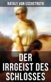 Der Irrgeist des Schlosses (eBook, ePUB)