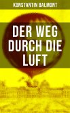 Der Weg durch die Luft (eBook, ePUB)