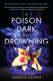 A Poison Dark and Drowning (Kingdom on Fire, Book Two) (eBook, ePUB)