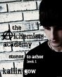 The Alchemists Academy Book 1: Stones... - Bild 1