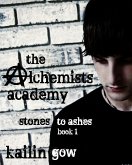 The Alchemists Academy Book 1: Stones to Ashes (Alchemists Academy Series, #1) (eBook, ePUB)