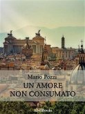 Un amore non consumato (eBook, ePUB)