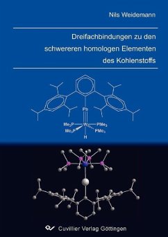 Cover Dreifachbindungen zu den schwereren homologen Elementen des Kohlenstoffs (eBook, PDF)