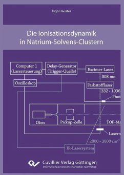 Cover Die Ionisationsdynamik in Natruim-Solvens-Clustern (eBook, PDF)