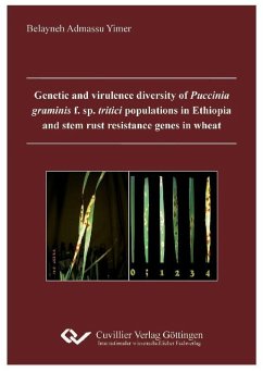 Cover Genetic and virulence diversity of Puccinia graminis f. sp. Tritici populations in Ethiopia and stem rust resistance genes in wheat (eBook, PDF)