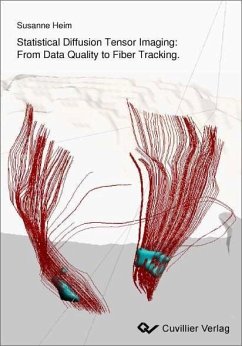 Cover Statistical Diffusion Tensor Imaging: From Data Quality to Fiber Tracking (eBook, PDF)