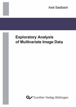 Exploratory Analysis of Multivariate Image Data (eBook, PDF)