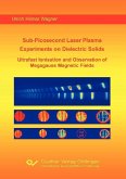 Sub-Picosecond Laser Plasma Experiments on Dielectric Solids: Ultrafast Ionisation and Observation of Megagauss Magnetic Fields (eBook, PDF)
