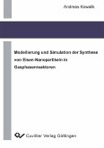 Modellierung und Simulation der Synthese von Eisen-Nanopartikeln in Gasphasenreaktoren (eBook, PDF)