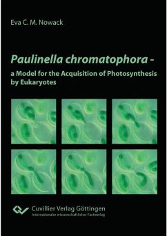 Cover Paulinella chromatophora – a Model for the Acquisition of Photosynthesis by Eukaryotes (eBook, PDF)