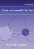 Multiferroic hexagonal HoMnO3 films (eBook, PDF)