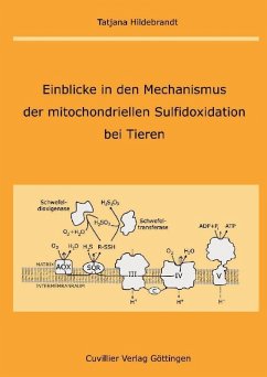 Cover Einblicke in den Mechanismus der mitochondriellen Sulfidoxidation bei Tieren (eBook, PDF)