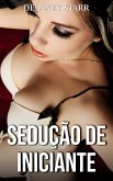 Sedução de Iniciante (eBook, ePUB) Sedução de Iniciante (eBook, ePUB)