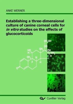 Establishing a three-dimensional culture of canine corneal cells for in vitro studies on the effects of glucocorticoids (eBook, PDF)