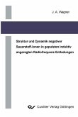 Struktur und Dynamik negativer Sauerstoff-Ionen in induktiv angeregten Radiofrequenz-Entladungen (eBook, PDF)