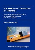 The Trials and Tribulations of Teaching (eBook, PDF)